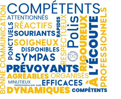 Nuage de mots AXAL : Ponctuels, organisés, professionnels, à l'écoute...